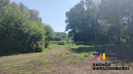 Działka otoczona lasem w Barcikowicach Małych na sprzedaż